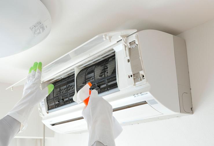 Pagot Savoie désinfection