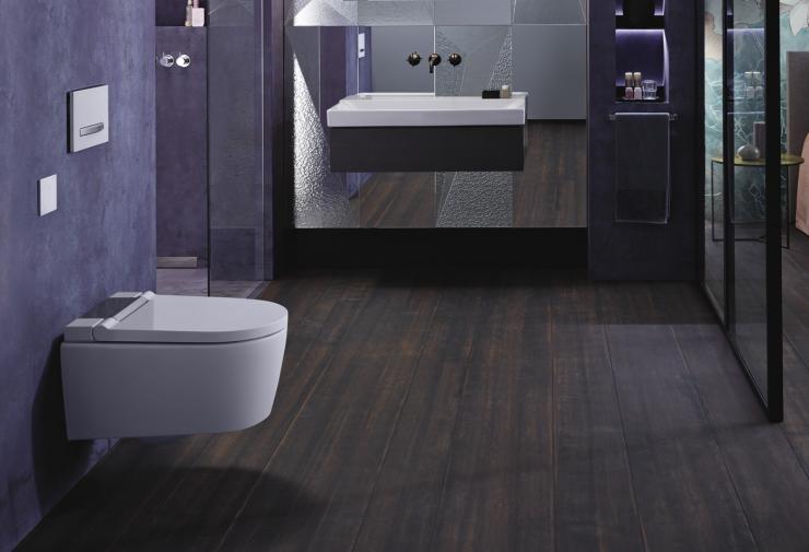 Toilettes japonaises Pagot-Savoie